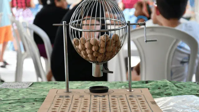 Printed bingo card like the ones sold with Dollar Tree daubers